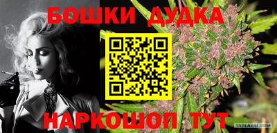 гашик Пенза