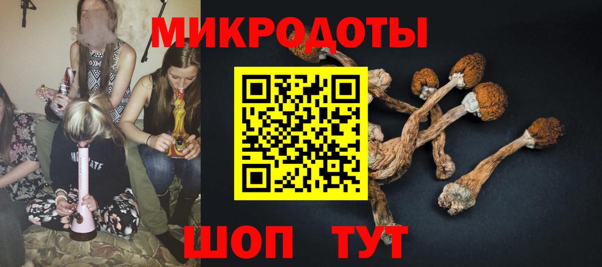 Галлюциногенные грибы GOLDEN TEACHER  Вход с VPN  Дальнереченск 